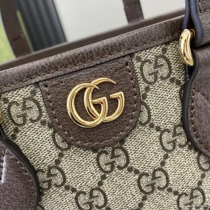 REP 2407YA0190 Gucci Bags 0213