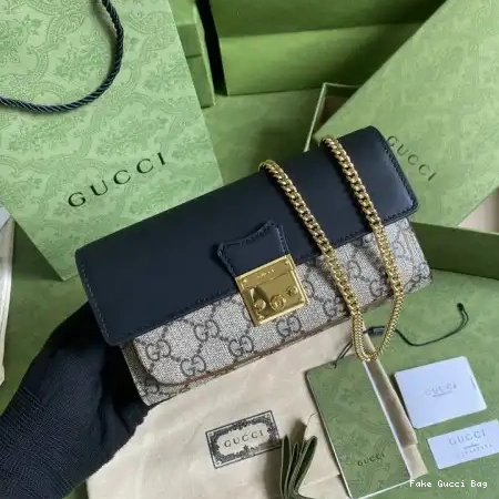 REP 2109YA0079 Bag Gucci 0301