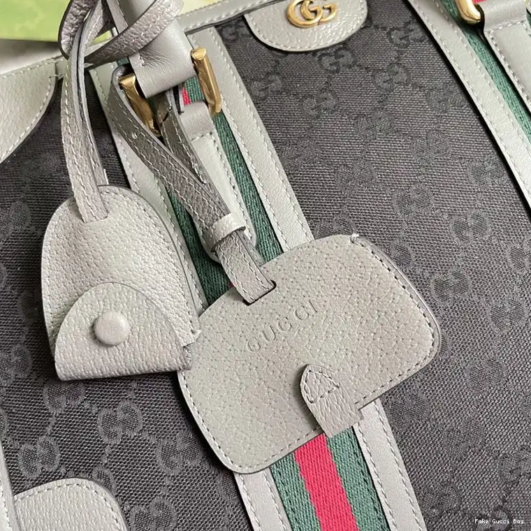 REP 2211DJ0003 Gucci Bag 0307