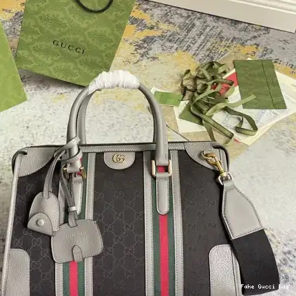 REP 2211DJ0003 Gucci Bag 0307