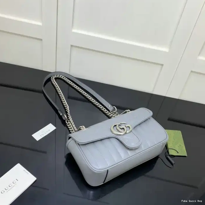 REP Bags 2110YA0129 Gucci 0316