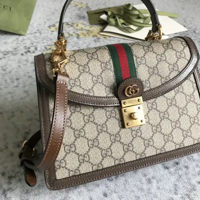 REP Bags 2104DJ0028 Gucci 0303