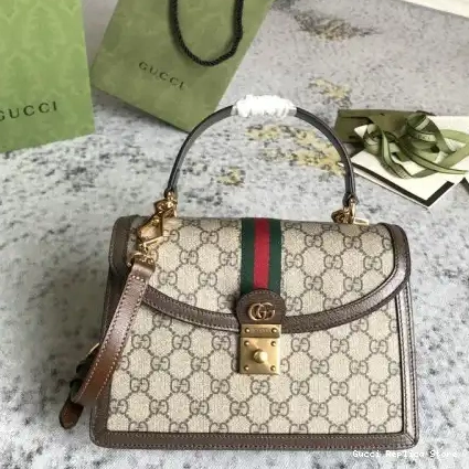 REP Bags 2104DJ0028 Gucci 0303