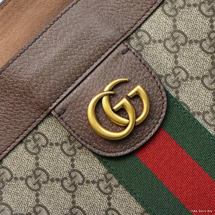 REP Bags 2112DJ0067 Gucci 0311