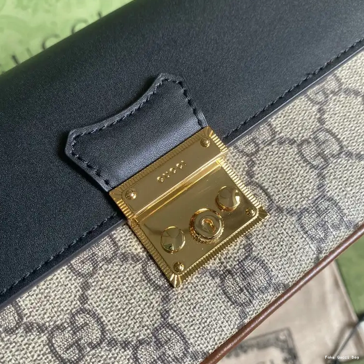 REP 2109YA0079 Bag Gucci 0301