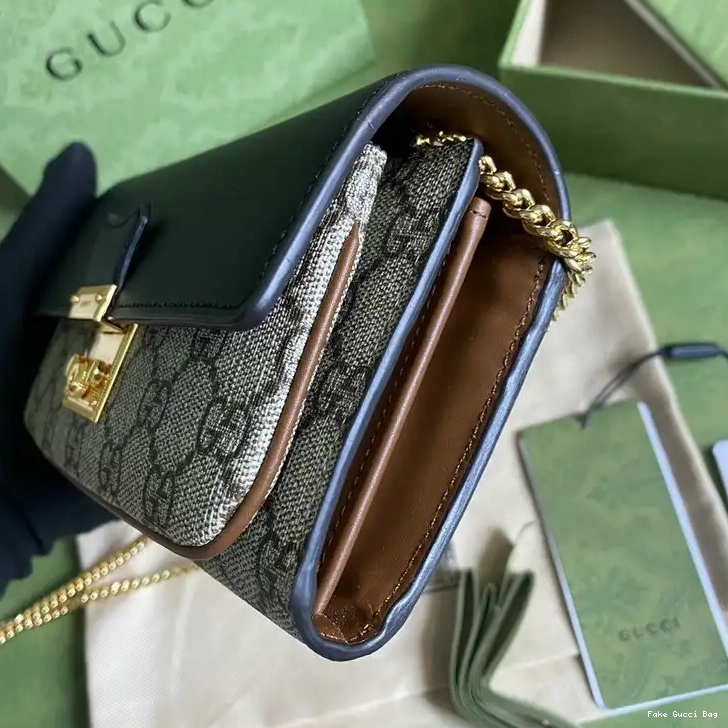 REP 2109YA0079 Bag Gucci 0301